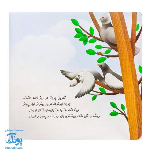 کتاب چرا خدا چنین کرد ۳ چرا خدا به کبوتر نوک داده است؟