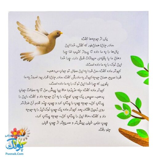 کتاب چرا خدا چنین کرد ۳ چرا خدا به کبوتر نوک داده است؟