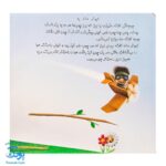 کتاب چرا خدا چنین کرد ۳ چرا خدا به کبوتر نوک داده است؟