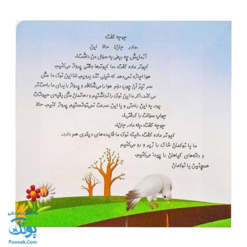 کتاب چرا خدا چنین کرد ۳ چرا خدا به کبوتر نوک داده است؟