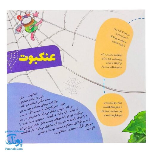 کتاب دیدنی‌های خدا مجموعه ۸ جلدی سلفون