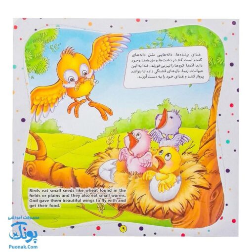 کتاب به من بگو خدا کیست؟ ۴ : خدا غذا می‌دهد