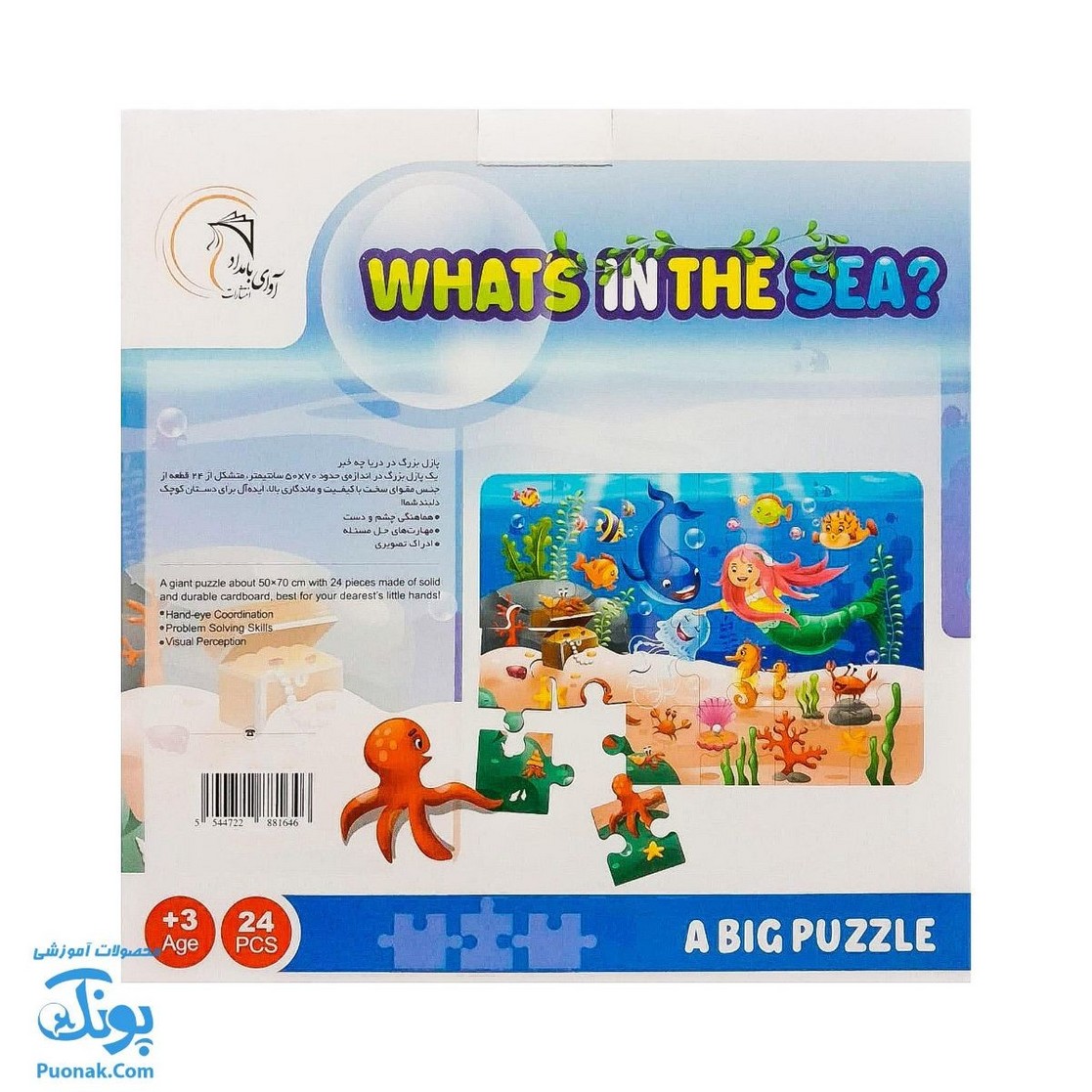 پازل بزرگ در دریا چه خبر؟ آوای بامداد WHATS IN THE SEA