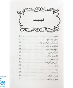کتاب قصه های شیرین و دلنشین ۲۷ قصه کوتاه و آموزنده از متن هندی کلیله و دمنه