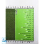 کتاب مثل ها و قصه هایشان (قصه‌های دی)