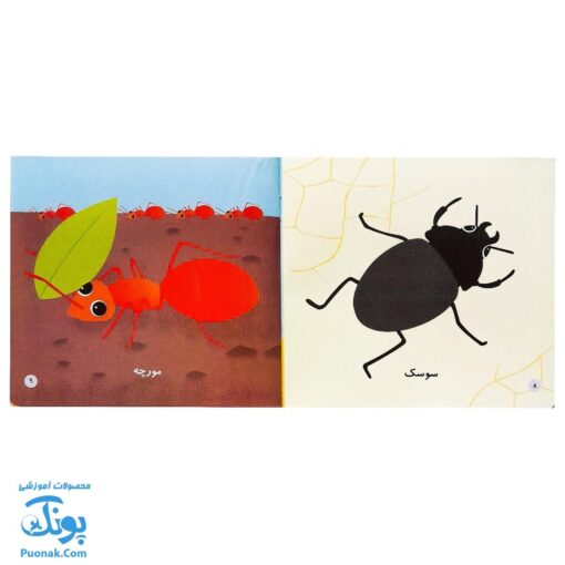 کتاب می بینم بزرگ می شم (آموزش مفاهیم اولیه به کودکان ۱ تا ۵ سال مجموعه ۶ جلدی آویزدار)