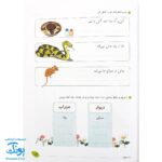 کتاب فصل رویش گزیده ی فصل میوه‌ چینی: کتاب کار تابستان (سوم ابتدایی نسخه برگزیده)