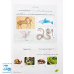 کتاب فصل رویش گزیده ی فصل میوه‌ چینی: کتاب کار تابستان (سوم ابتدایی نسخه برگزیده)