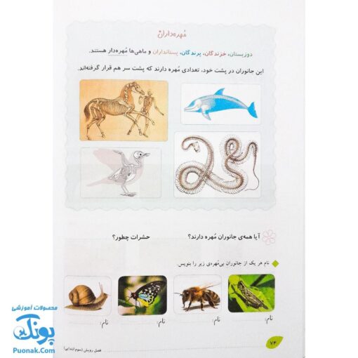 کتاب فصل رویش گزیده ی فصل میوه‌ چینی: کتاب کار تابستان (سوم ابتدایی نسخه برگزیده)