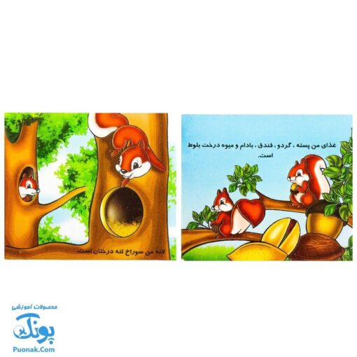 کتاب وسایل نقلیه، سنجاب و سیب (مجموعه ۳ جلدی جیبی)