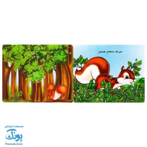 کتاب وسایل نقلیه، سنجاب و سیب (مجموعه ۳ جلدی جیبی)