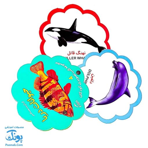کتاب مصور حیوانات دریا دو زبانه (مجموعه کتب تصویری کودکان جلد چهارم - دکمه ای)