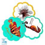کتاب مصور حیوانات دریا دو زبانه (مجموعه کتب تصویری کودکان جلد چهارم - دکمه ای)
