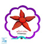 کتاب مصور حیوانات دریا دو زبانه (مجموعه کتب تصویری کودکان جلد چهارم - دکمه ای)
