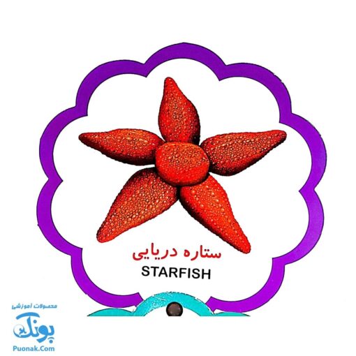 کتاب مصور حیوانات دریا دو زبانه (مجموعه کتب تصویری کودکان جلد چهارم - دکمه ای)