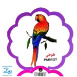 کتاب مصور دنیای پرندگان دو زبانه (مجموعه کتب تصویری کودکان جلد سوم - دکمه ای)