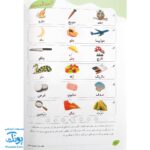 کتاب فصل رویش گزیده ی فصل میوه‌ چینی: کتاب کار تابستان (پیش دبستانی نسخه برگزیده)