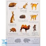 کتاب جانوران بچسبان و بیاموز ۱ به همراه ۶۰ برچسب