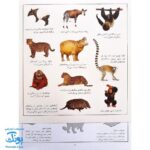 کتاب جانوران بچسبان و بیاموز ۱ به همراه ۶۰ برچسب