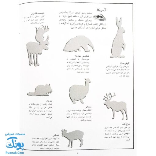 کتاب جانوران بچسبان و بیاموز ۱ به همراه ۶۰ برچسب