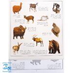 کتاب جانوران بچسبان و بیاموز ۱ به همراه ۶۰ برچسب