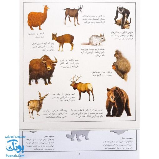 کتاب جانوران بچسبان و بیاموز ۱ به همراه ۶۰ برچسب