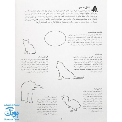 کتاب بچه های جانوران بچسبان و بیاموز ۲ به همراه ۶۰ برچسب