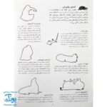 کتاب بچه های جانوران بچسبان و بیاموز ۲ به همراه ۶۰ برچسب