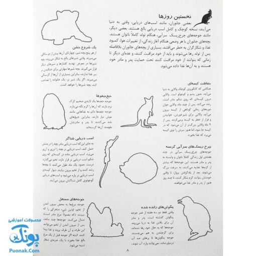 کتاب بچه های جانوران بچسبان و بیاموز ۲ به همراه ۶۰ برچسب