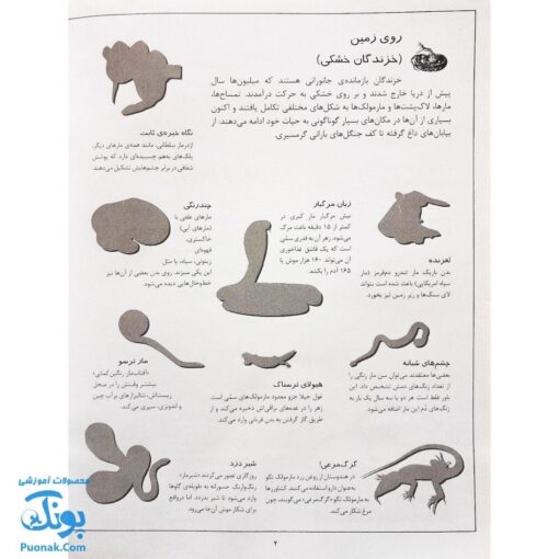 کتاب خزندگان بچسبان و بیاموز ۸ به همراه ۶۰ برچسب