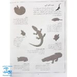 کتاب خزندگان بچسبان و بیاموز ۸ به همراه ۶۰ برچسب