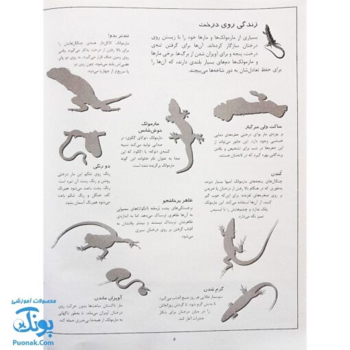 کتاب خزندگان بچسبان و بیاموز ۸ به همراه ۶۰ برچسب