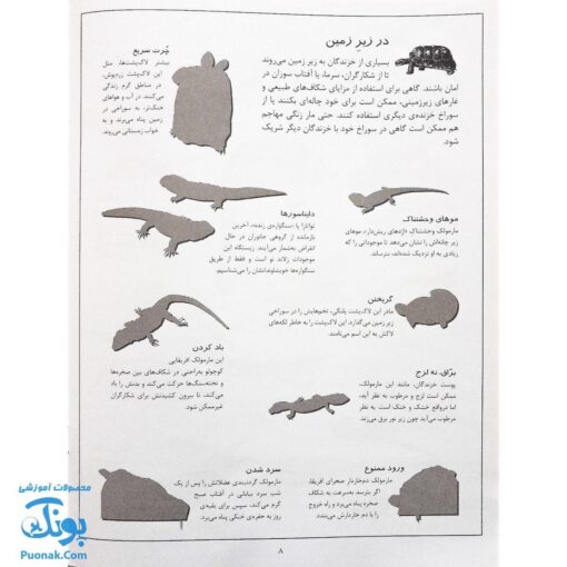 کتاب خزندگان بچسبان و بیاموز ۸ به همراه ۶۰ برچسب