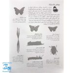 کتاب حشرات بچسبان و بیاموز ۹ به همراه ۶۰ برچسب