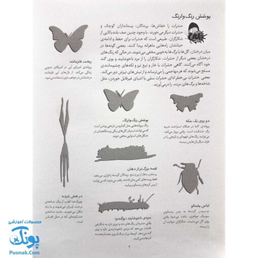 کتاب حشرات بچسبان و بیاموز ۹ به همراه ۶۰ برچسب