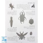کتاب حشرات بچسبان و بیاموز ۹ به همراه ۶۰ برچسب