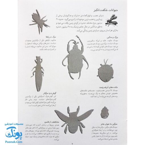 کتاب حشرات بچسبان و بیاموز ۹ به همراه ۶۰ برچسب