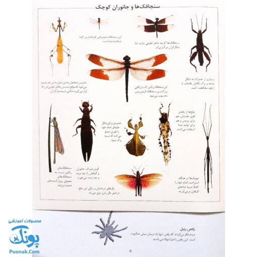 کتاب حشرات بچسبان و بیاموز ۹ به همراه ۶۰ برچسب