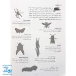کتاب حشرات بچسبان و بیاموز ۹ به همراه ۶۰ برچسب