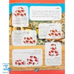 کتاب ماشین ها ۲ بچسبان و بیاموز ۱۳ به همراه ۶۰ برچسب