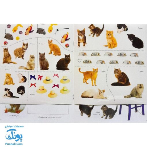 کتاب گربه ها و بچه گربه ها بچسبان و بیاموز ۱۵ به همراه ۶۰ برچسب