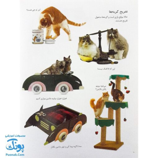 کتاب گربه ها و بچه گربه ها بچسبان و بیاموز ۱۵ به همراه ۶۰ برچسب