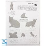 کتاب گربه ها بچسبان و بیاموز ۱۶ به همراه ۶۰ برچسب