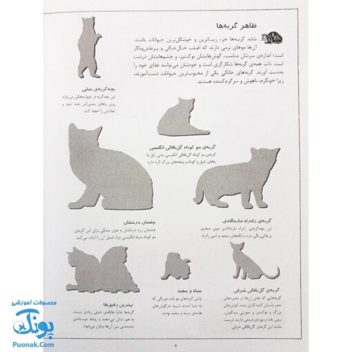 کتاب گربه ها بچسبان و بیاموز ۱۶ به همراه ۶۰ برچسب