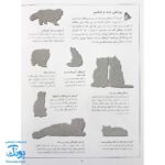 کتاب گربه ها بچسبان و بیاموز ۱۶ به همراه ۶۰ برچسب