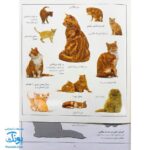 کتاب گربه ها بچسبان و بیاموز ۱۶ به همراه ۶۰ برچسب