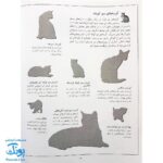 کتاب گربه ها بچسبان و بیاموز ۱۶ به همراه ۶۰ برچسب