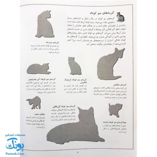 کتاب گربه ها بچسبان و بیاموز ۱۶ به همراه ۶۰ برچسب