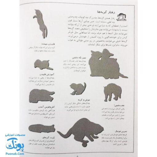 کتاب گربه ها بچسبان و بیاموز ۱۶ به همراه ۶۰ برچسب