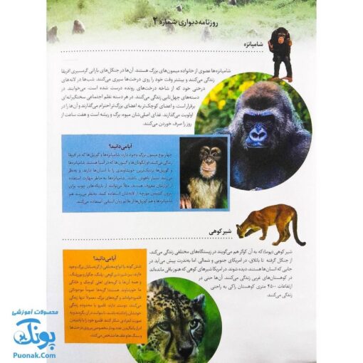 کتاب حیوانات وحشی بچسبان و بیاموز ۱۷ به همراه ۶۰ برچسب